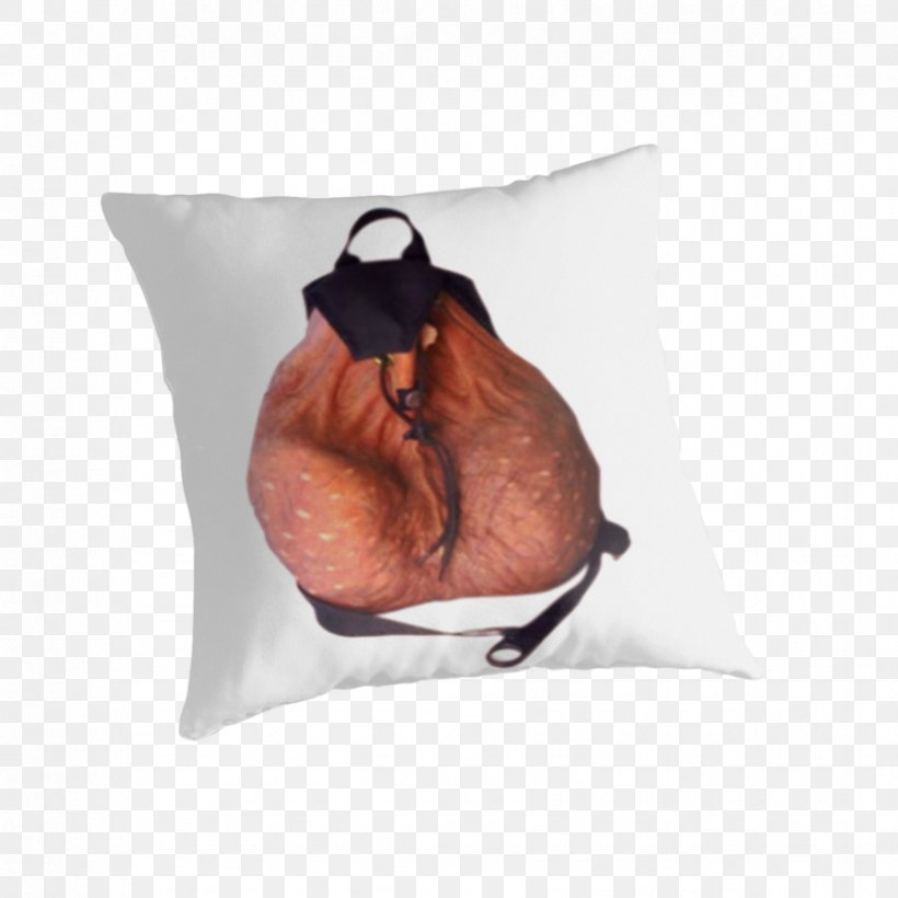 Throw Pillows Cushion Snout, PNG, 875x875px, Throw Pillows, Cushion, Pillow, Snout, Throw Pillow Download Free