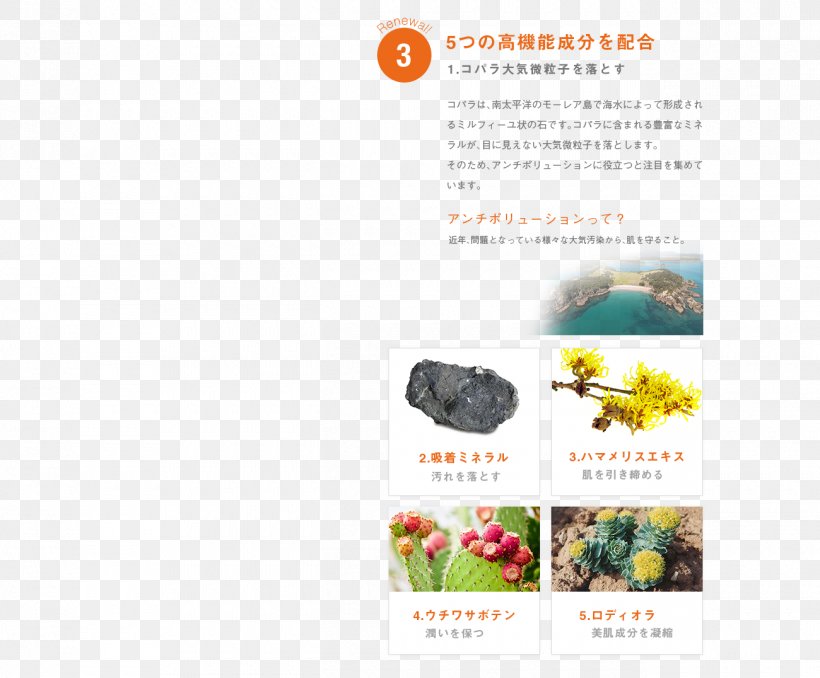 Cleanser Lotion Skin 基礎化粧品 美容液, PNG, 1300x1076px, Cleanser, Advertising, Brand, Brochure, Flora Download Free