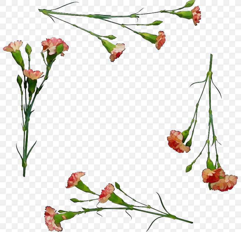 Floral Design, PNG, 800x790px, Watercolor, Biology, Branch, Cut Flowers, Floral Design Download Free