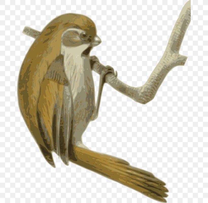 Golden Parrotbill Songbird Neognathae Clip Art, PNG, 685x800px, Songbird, Beak, Bird, Bird Of Prey, Fauna Download Free