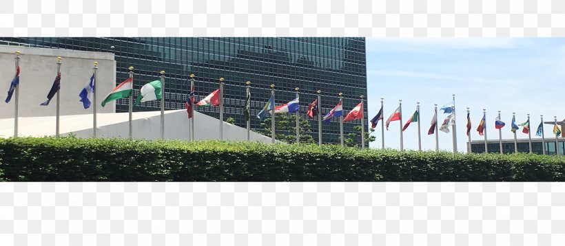 International Relations Career Flag Of The United Nations Job, PNG, 1600x700px, International Relations, Career, Extracurricular Activity, Fence, Flag Download Free