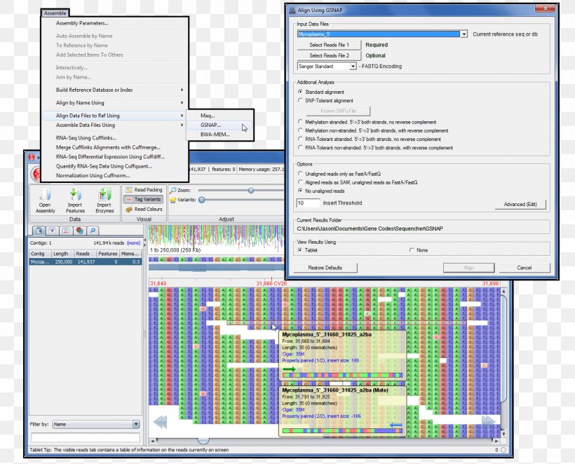 Massive Parallel Sequencing DNA Sequencing Sequence Alignment Reference Genome, PNG, 1341x1083px, Massive Parallel Sequencing, Area, Computer Program, Data, Diagram Download Free