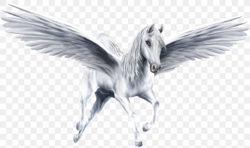 Pegasus Legendary Creature Unicorn, PNG, 1300x773px, Pegasus, Angel, Beak, Bird, Black And White Download Free