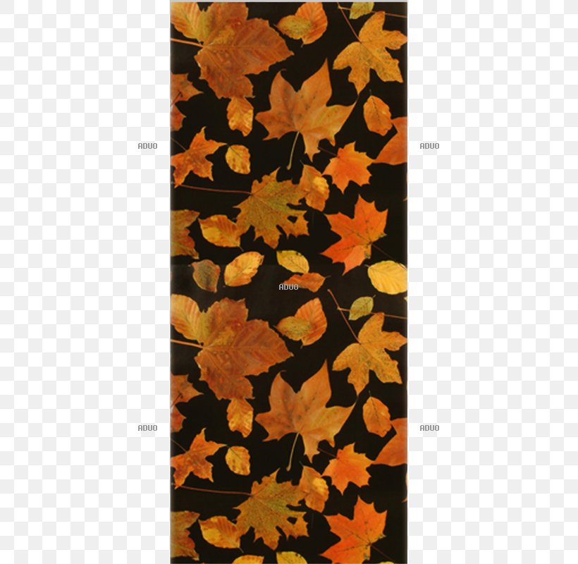 Autumn Leaf, PNG, 800x800px, Autumn, Flower, Leaf, Orange Download Free