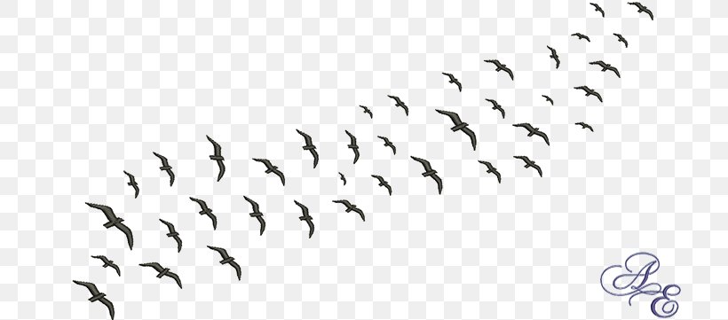 Bird Migration Flock Common Starling Beak, PNG, 722x361px, Bird, All About Birds, Animal Migration, Beak, Bird Migration Download Free