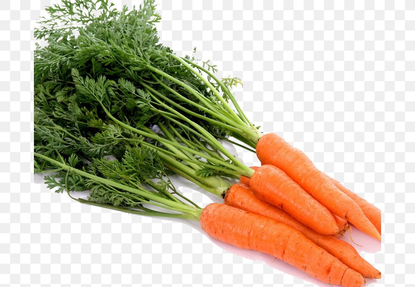 Carrot Juice Carrot Juice Vegetable Baby Carrot, PNG, 686x566px, Juice, Baby Carrot, Carrot, Carrot Juice, Carrot Seed Oil Download Free
