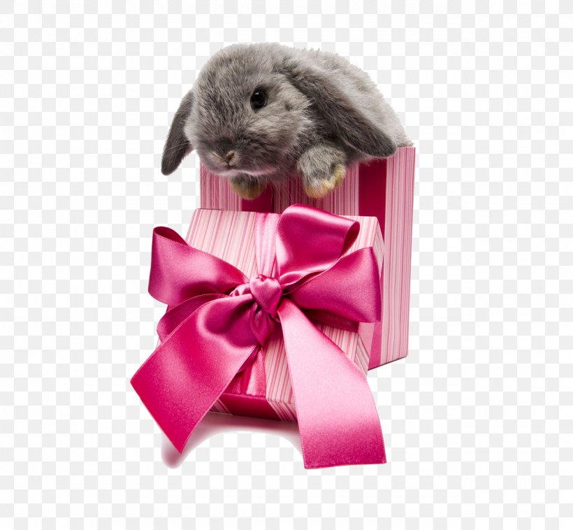 Easter Bunny Rabbit Gift Box Pet, PNG, 1280x1184px, Easter Bunny, Animal, Animation, Box, Child Download Free