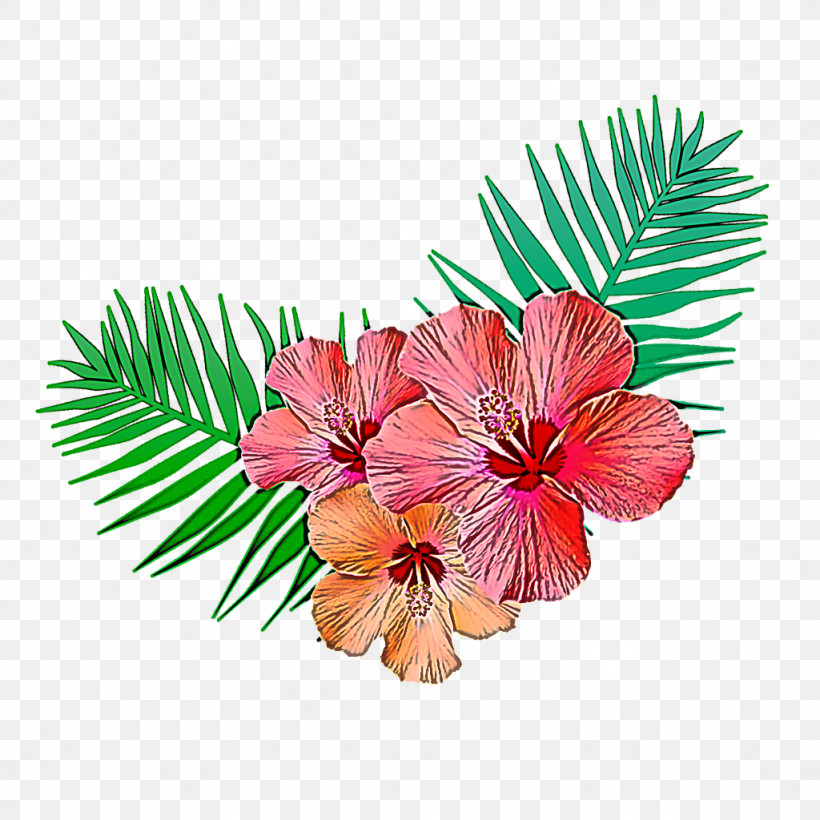 Hibiscus Flower Plant Leaf Petal, PNG, 1024x1024px, Hibiscus, Branch, Flower, Leaf, Mallow Family Download Free