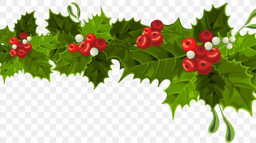 Common Holly Christmas Decoration Mistletoe Clip Art, PNG, 5900x3312px, Common Holly, Christmas, Christmas Decoration, Christmas Ornament, Christmas Tree Download Free