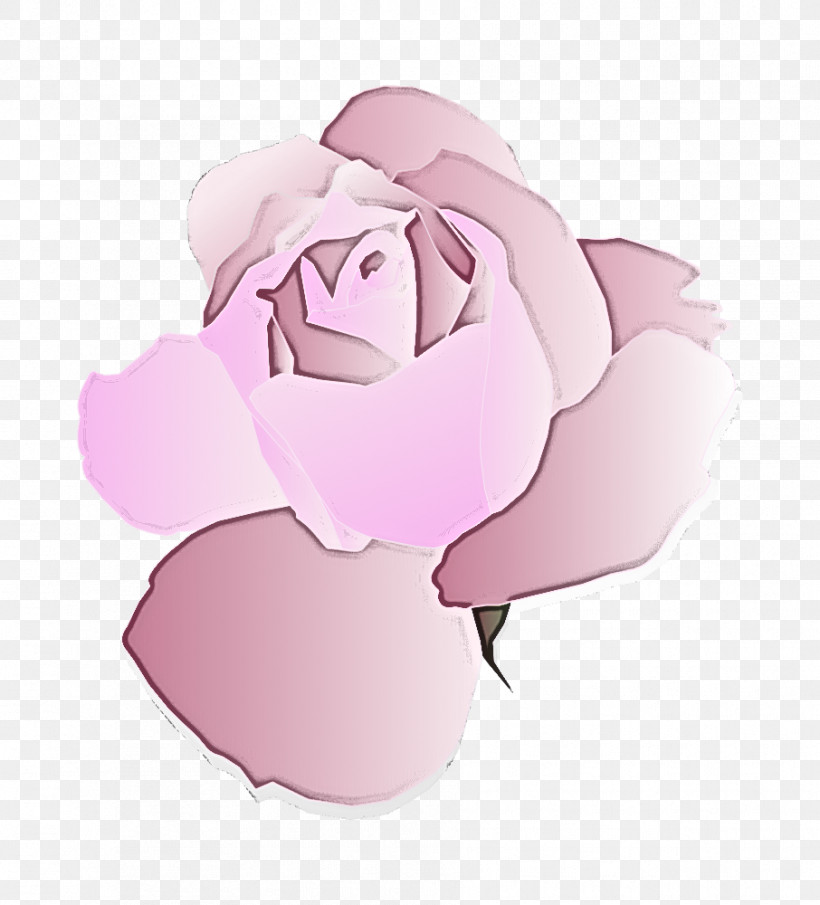 Garden Roses, PNG, 906x1000px, Pink, Animation, Cartoon, Flower, Garden Roses Download Free