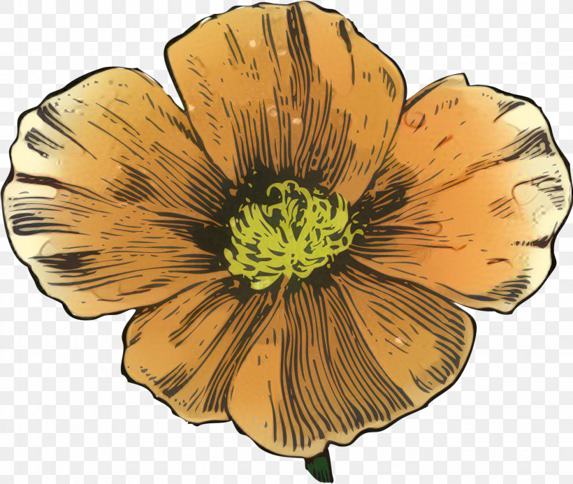 California Poppy Clip Art Vector Graphics, PNG, 2259x1910px, California, Botany, California Poppy, Cinquefoil, Common Poppy Download Free