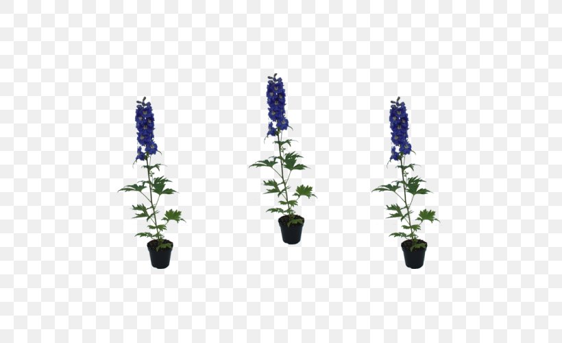 Cut Flowers Cobalt Blue Lavender, PNG, 500x500px, Cut Flowers, Blue, Cobalt, Cobalt Blue, Flower Download Free