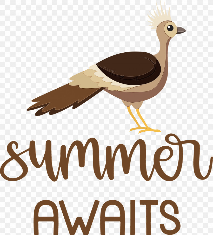 Feather, PNG, 2712x3000px, Summer, Beak, Birds, Duck, Ducks Download Free