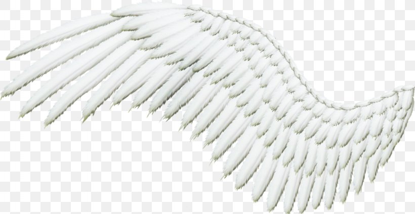 Feather Clip Art, PNG, 1024x530px, 3d Rendering, Feather, Black And White, Darkest Hour, Information Download Free