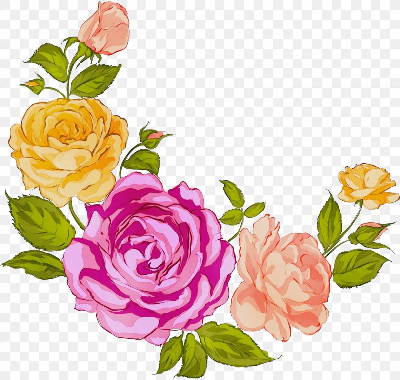 Garden Roses, PNG, 1600x1520px, Watercolor, Cut Flowers, Flower, Flowering Plant, Garden Roses Download Free