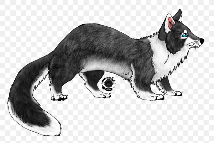 Whiskers Cat Dog Tiger Art, PNG, 1024x685px, Whiskers, Art, Carnivoran, Cat, Cat Like Mammal Download Free