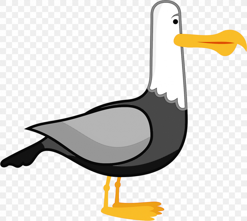 Bird Beak Seabird Cartoon Gull, PNG, 1600x1435px, Bird, Albatross, Beak, Cartoon, Ciconiiformes Download Free