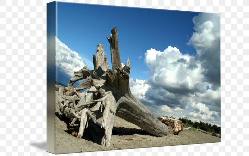 Statue Tree Memorial Stock Photography Driftwood, PNG, 650x513px, Statue, Driftwood, Landscape, Memorial, Monument Download Free