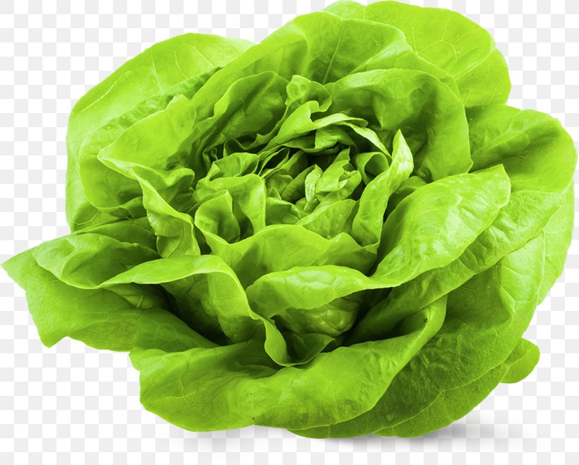 Vegetable Salad Butterhead Lettuce Doner Kebab Variety, PNG, 819x658px, Vegetable, Butterhead Lettuce, Cabbage, Chard, Collard Greens Download Free