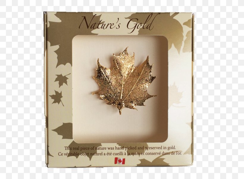 Canadian Gold Maple Leaf Canada Red Maple, PNG, 600x600px, Leaf, Brooch, Canada, Canadian Gold Maple Leaf, Canadian Silver Maple Leaf Download Free
