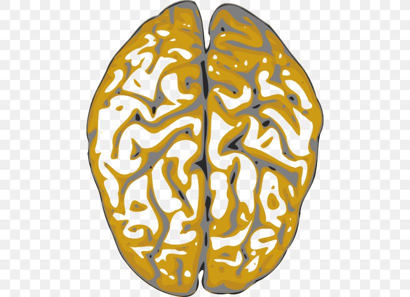 Clip Art Vector Graphics Human Brain, PNG, 474x595px, Brain, Drawing, Footwear, Human, Human Brain Download Free