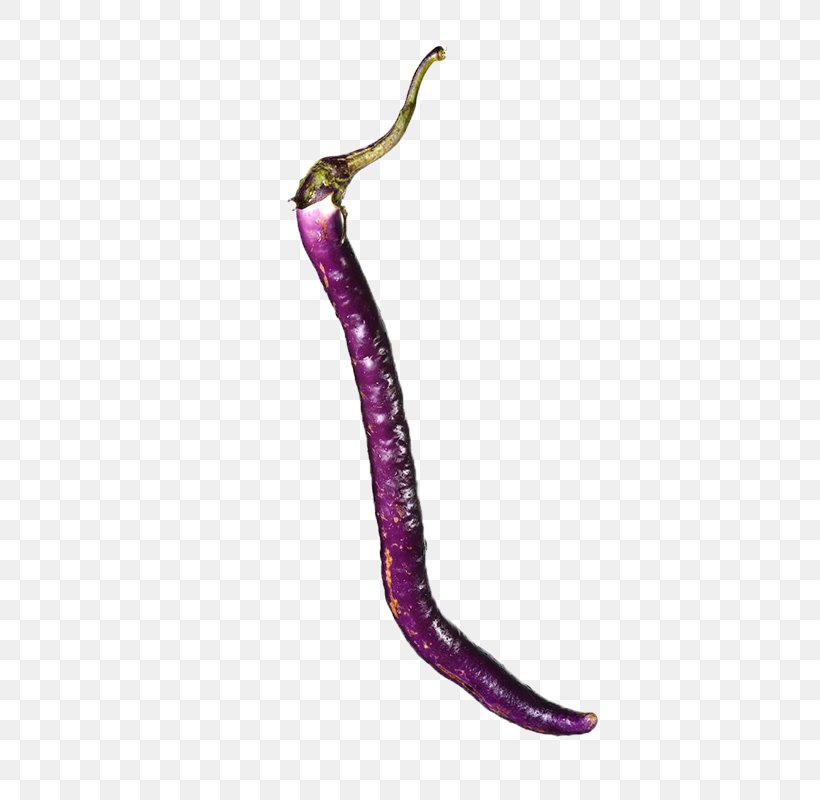 Eggplant Computer File, PNG, 800x800px, Eggplant, Body Jewelry, Food, Magenta, Melon Download Free