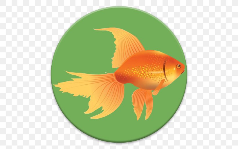 Goldfish Feeder Fish Fin Tail, PNG, 512x512px, Goldfish, Bony Fish, Feeder Fish, Fin, Fish Download Free