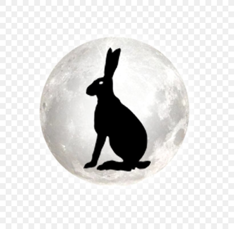 Hare Stonehenge Free Festival Dog Silhouette, PNG, 800x800px, Hare, Canidae, Dog, Dog Like Mammal, Festival Download Free