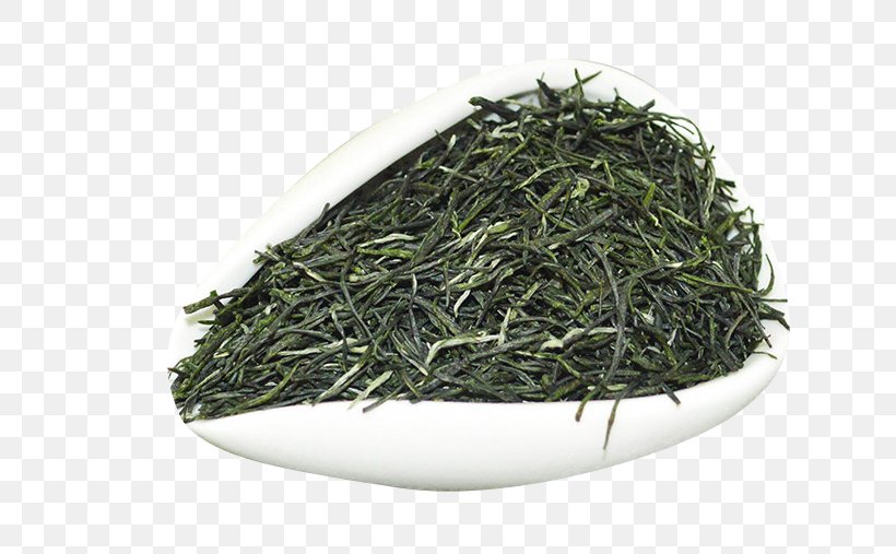 Xinyang Maojian Tea Xinyang Maojian Tea Gyokuro Green Tea, PNG, 790x507px, Tea, Assam Tea, Bai Mudan, Bancha, Biluochun Download Free
