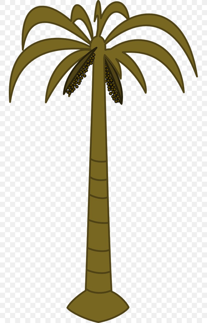 Arecaceae Tree Date Palm Coconut Clip Art, PNG, 749x1280px, Arecaceae, Arecales, Coconut, Date Palm, Drawing Download Free