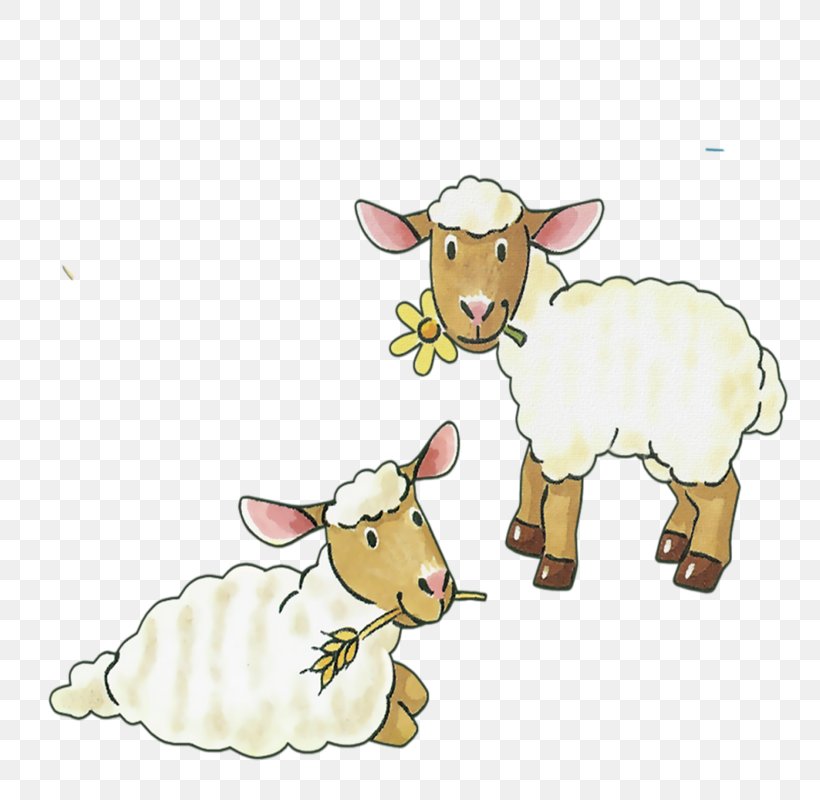 Bighorn Sheep Goat Cattle Livestock, PNG, 800x800px, Sheep, Animal, Animal Figure, Animal Husbandry, Bighorn Sheep Download Free
