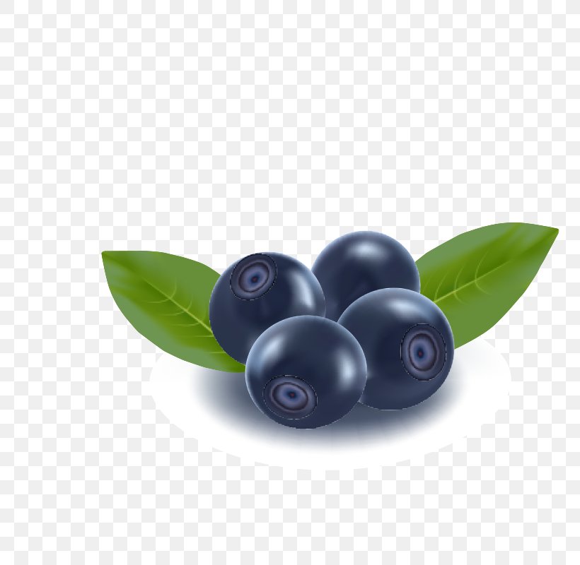 Blueberry Fruit Clip Art, PNG, 800x800px, Berry, Bilberry, Blackberry, Blueberry, Cranberry Download Free