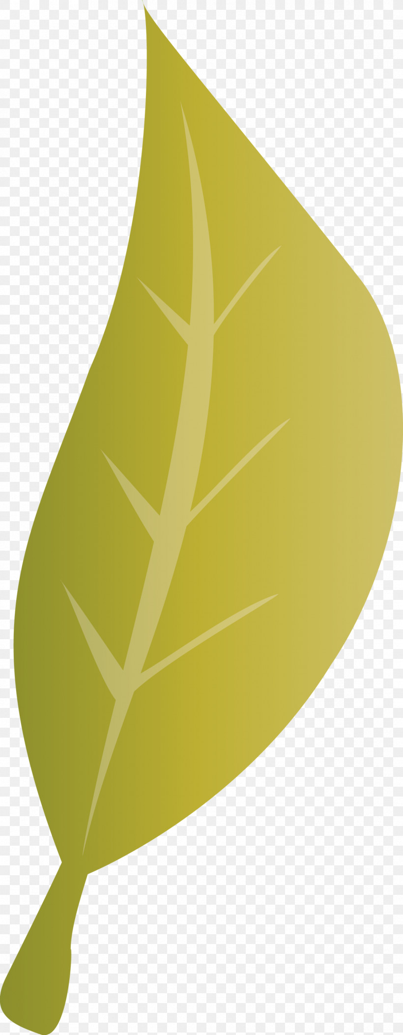 Leaf Angle Line Plant Structure Plants, PNG, 1168x2999px, Leaf, Angle, Biology, Line, Plant Structure Download Free