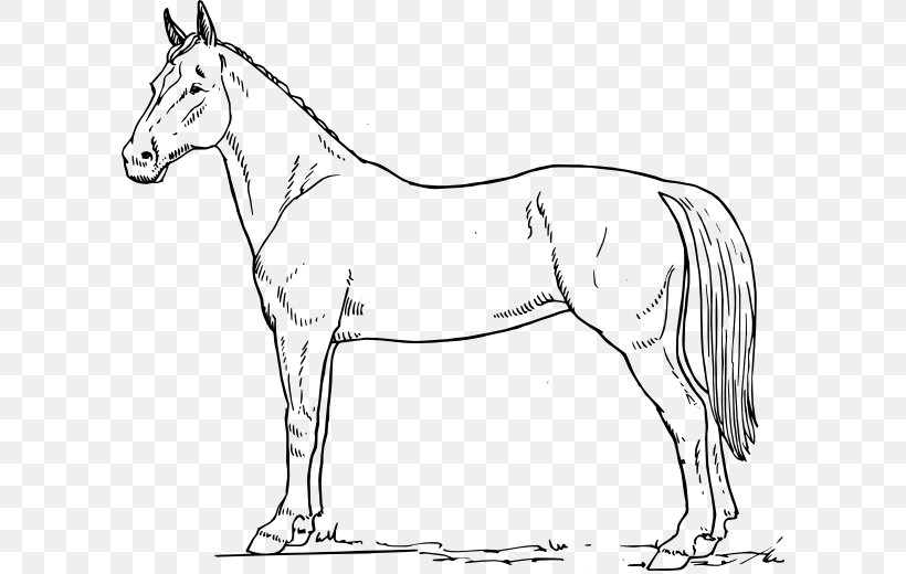 Tennessee Walking Horse Drawing Black And White Clip Art, PNG, 600x520px, Tennessee Walking Horse, Animal Figure, Artwork, Black, Black And White Download Free