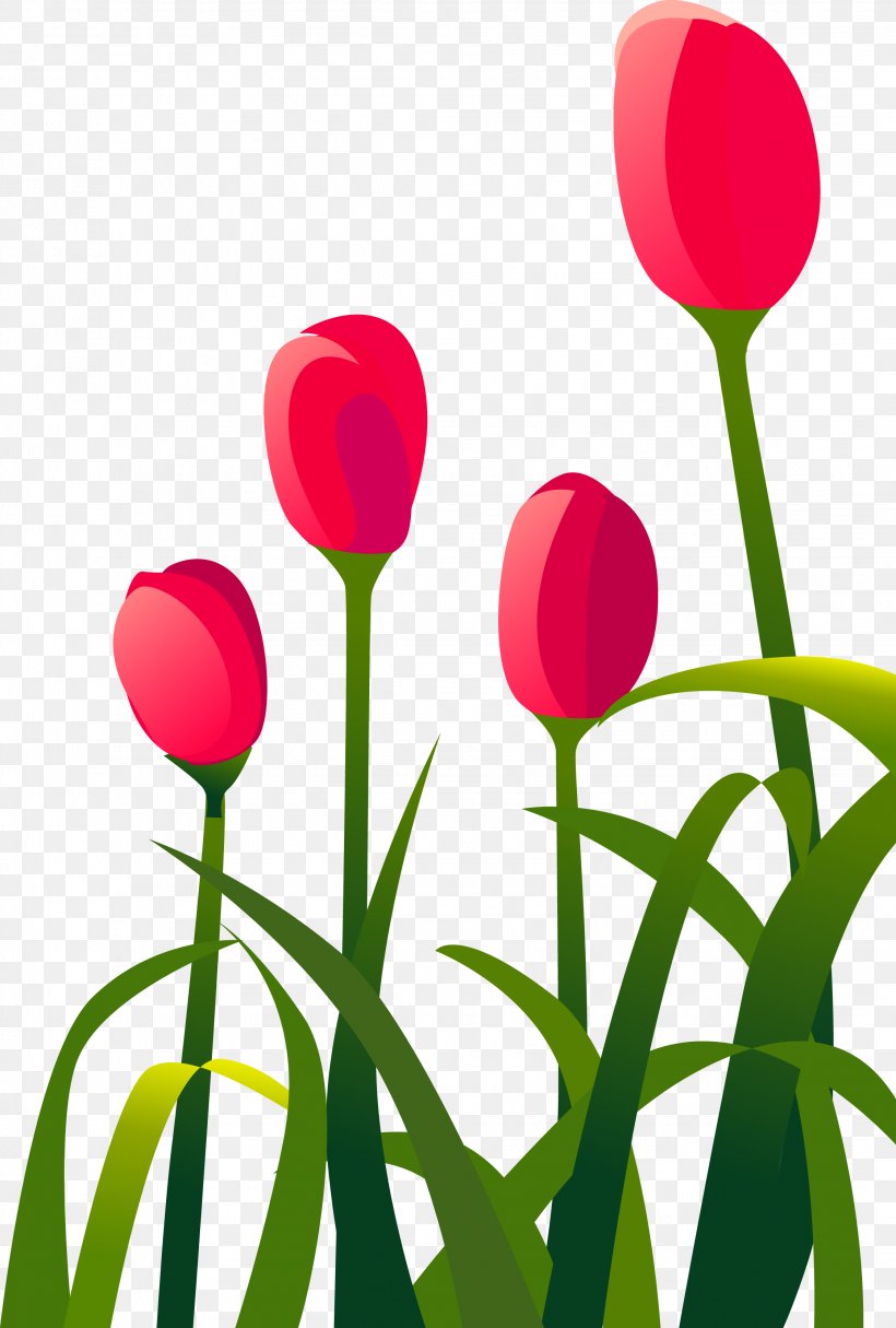 Tulip Red Flower, PNG, 2244x3325px, Tulip, Balloon, Flower, Flowering Plant, Grass Download Free