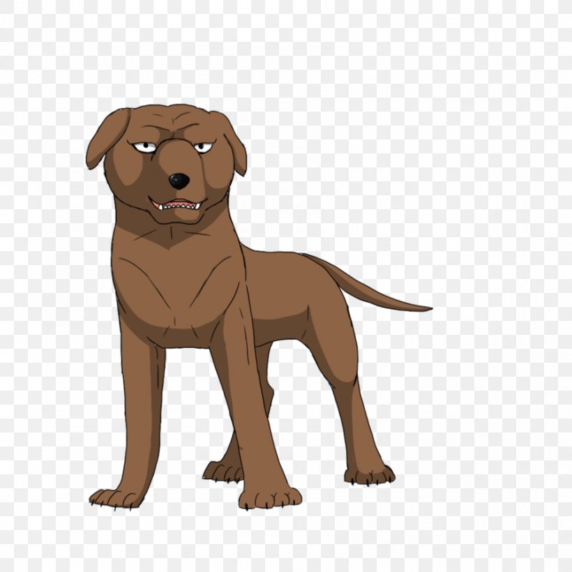 Labrador Retriever Nova Scotia Duck Tolling Retriever Puppy Dog Breed Companion Dog, PNG, 894x894px, Labrador Retriever, Breed, Carnivoran, Cartoon, Colony Of Nova Scotia Download Free