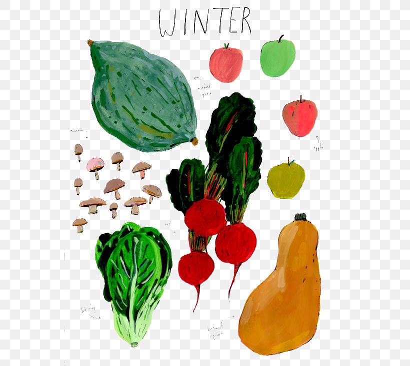 Vegetable Gratis Food Illustration, PNG, 564x733px, Vegetable, Apple, Carrot, Flower, Food Download Free