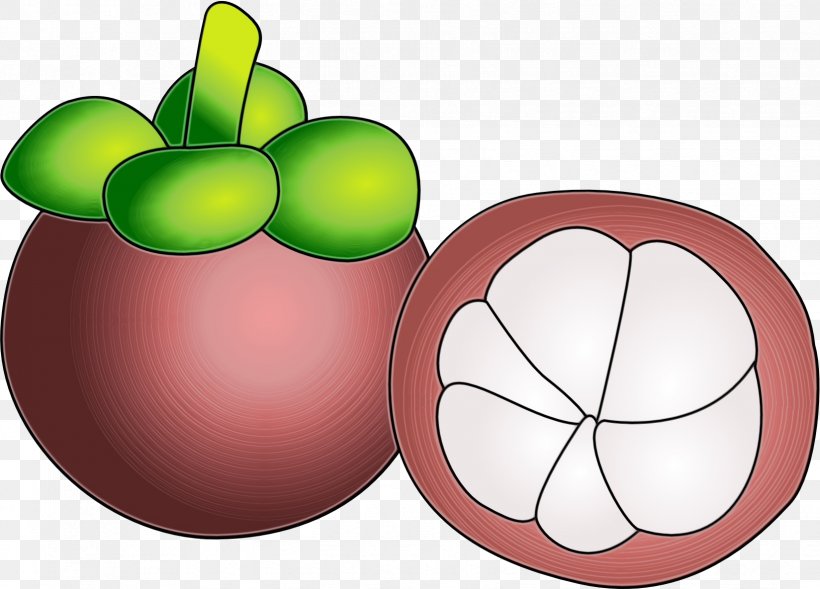 Apple Background, PNG, 1649x1185px, Flower, Apple, Fruit, Plant, Purple Mangosteen Download Free