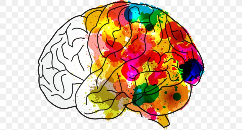 Human Brain Creativity Mind Hacks, PNG, 568x443px, Watercolor, Cartoon, Flower, Frame, Heart Download Free
