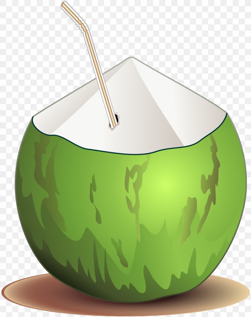 Coconut, PNG, 1093x1381px, Coconut, Designer, Green, Tableware Download Free