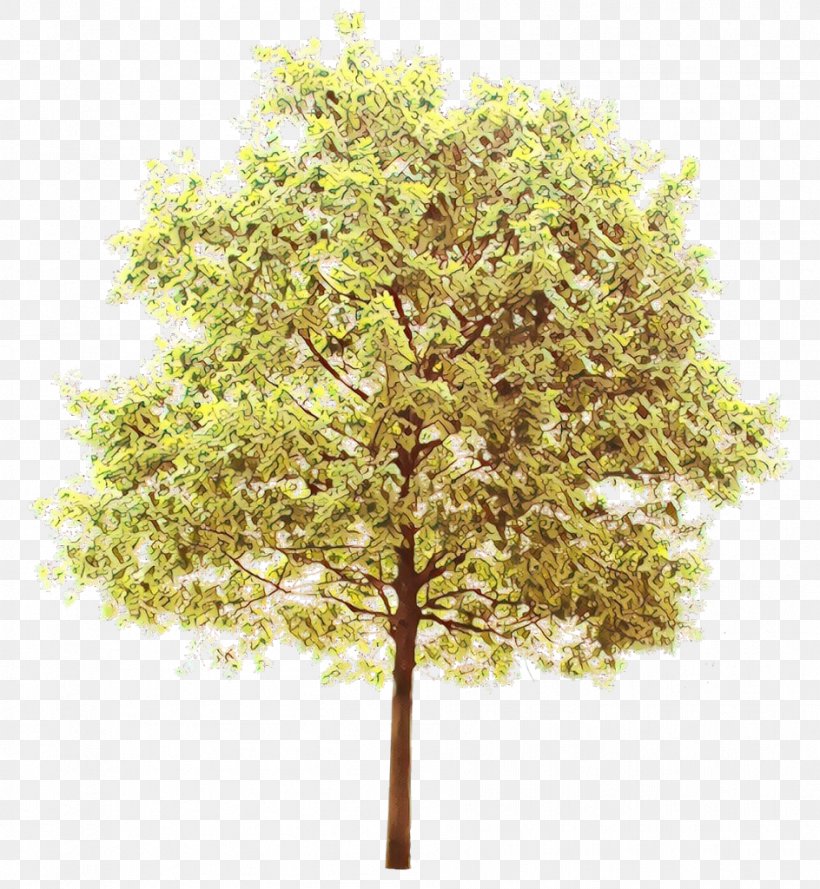 Family Tree Background, PNG, 944x1024px, Branch, Branching, Deciduous, Family, Flower Download Free