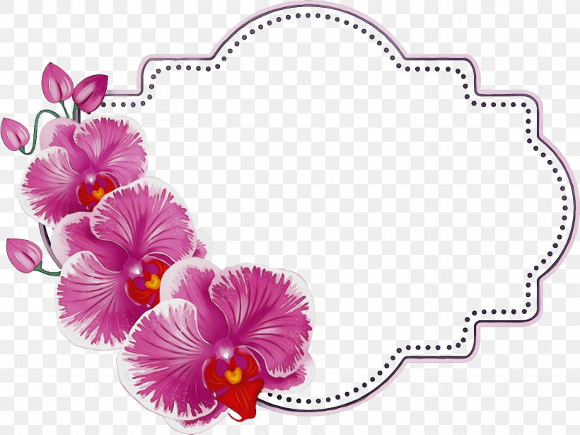 Flower Violet Plant Petal Magenta, PNG, 1558x1168px, Butterfly Orchid Frame, Cattleya, Dendrobium, Floral Frame, Flower Download Free