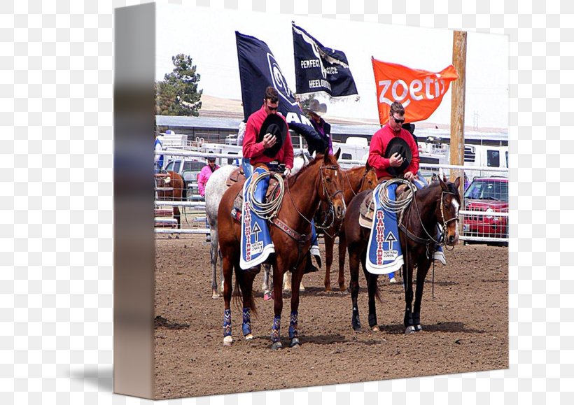 Rodeo Western Pleasure Bridle Equestrian Racing, PNG, 650x579px, Rodeo, Animal Sports, Bridle, Equestrian, Equestrian Sport Download Free