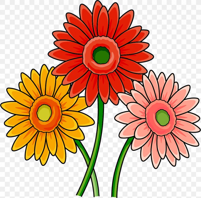Transvaal Daisy Cut Flowers Food Chrysanthemum Floral Design, PNG, 870x856px, Transvaal Daisy, Chrysanthemum, Chrysanths, Cut Flowers, Dahlia Download Free