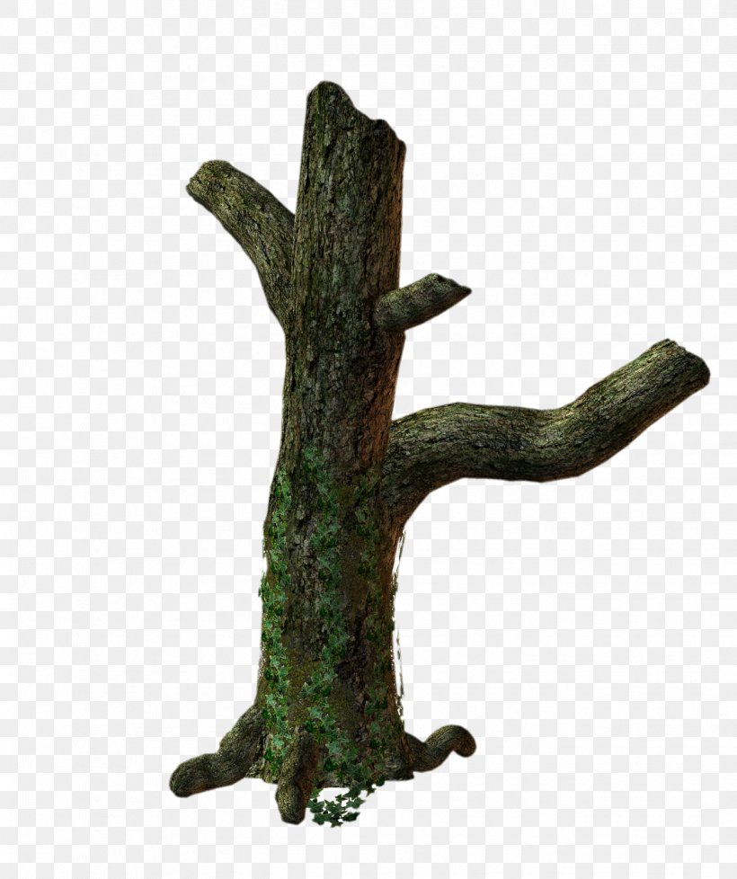3D Trees Trunk Clip Art, PNG, 1341x1600px, 3d Computer Graphics, 3d Trees, Tree, Branch, Plant Download Free