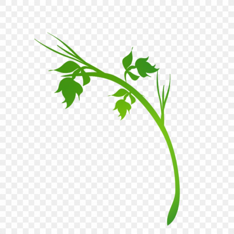 Green Download, PNG, 1000x1000px, Green, Branch, Color, Drawing, Flora Download Free