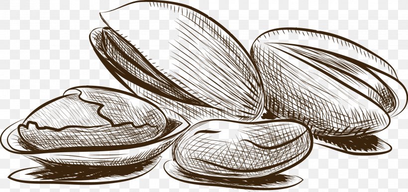 Pistachio Nut, PNG, 2038x964px, Pistachio, Drawing, Nut, Peanut, Shoe Download Free