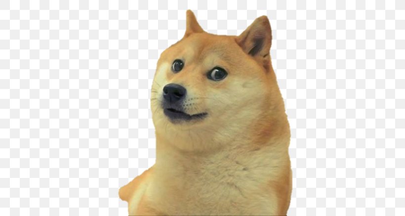 Shiba Inu Dogecoin Imgur, PNG, 700x437px, Shiba Inu, Canaan Dog, Carnivoran, Cryptocurrency, Dog Download Free