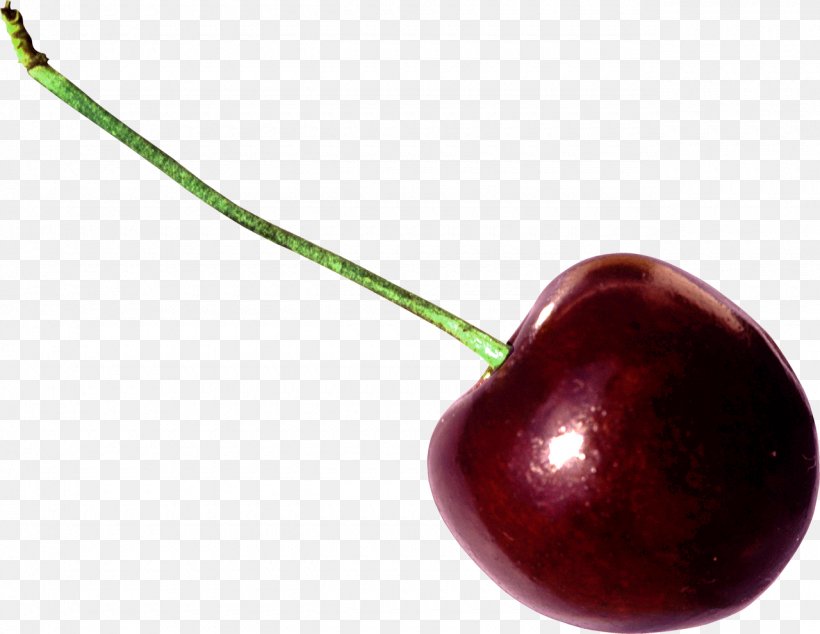 Sweet Cherry Cerasus Clip Art, PNG, 1280x991px, Sweet Cherry, Apple, Auglis, Body Jewelry, Cerasus Download Free