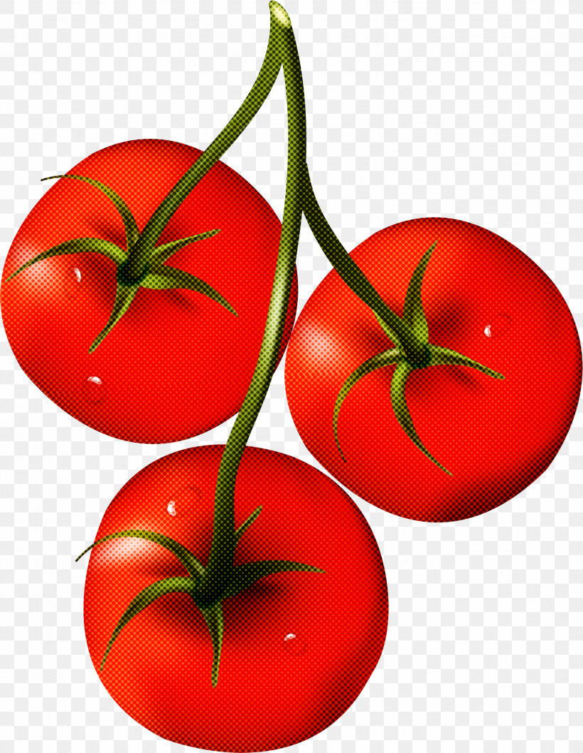 Tomato, PNG, 2273x2933px, Bush Tomato, Cherry Tomatoes, Datterino Tomato, Fruit, Heirloom Tomato Download Free